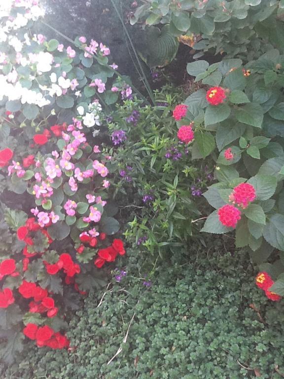 South Bridge Bed And Breakfast Philadelphia Bagian luar foto